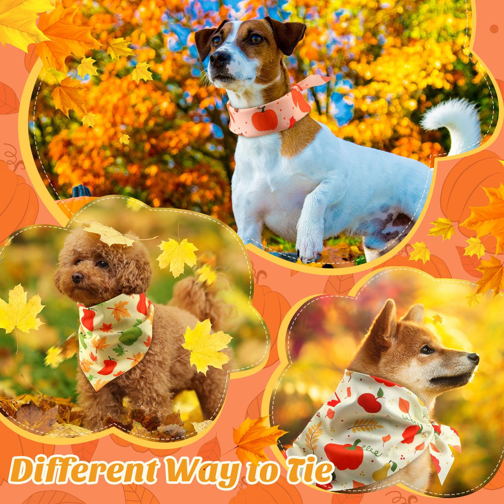 Abbylike dog bandana family outing prop emphasizes cute coordination and social media moments