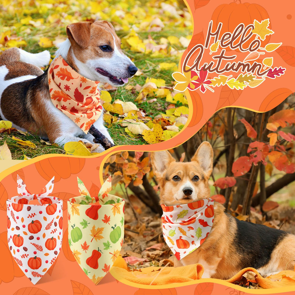 Abbylike fall dog bandana maple leaves pattern enhances seasonal outfits and street photo ops