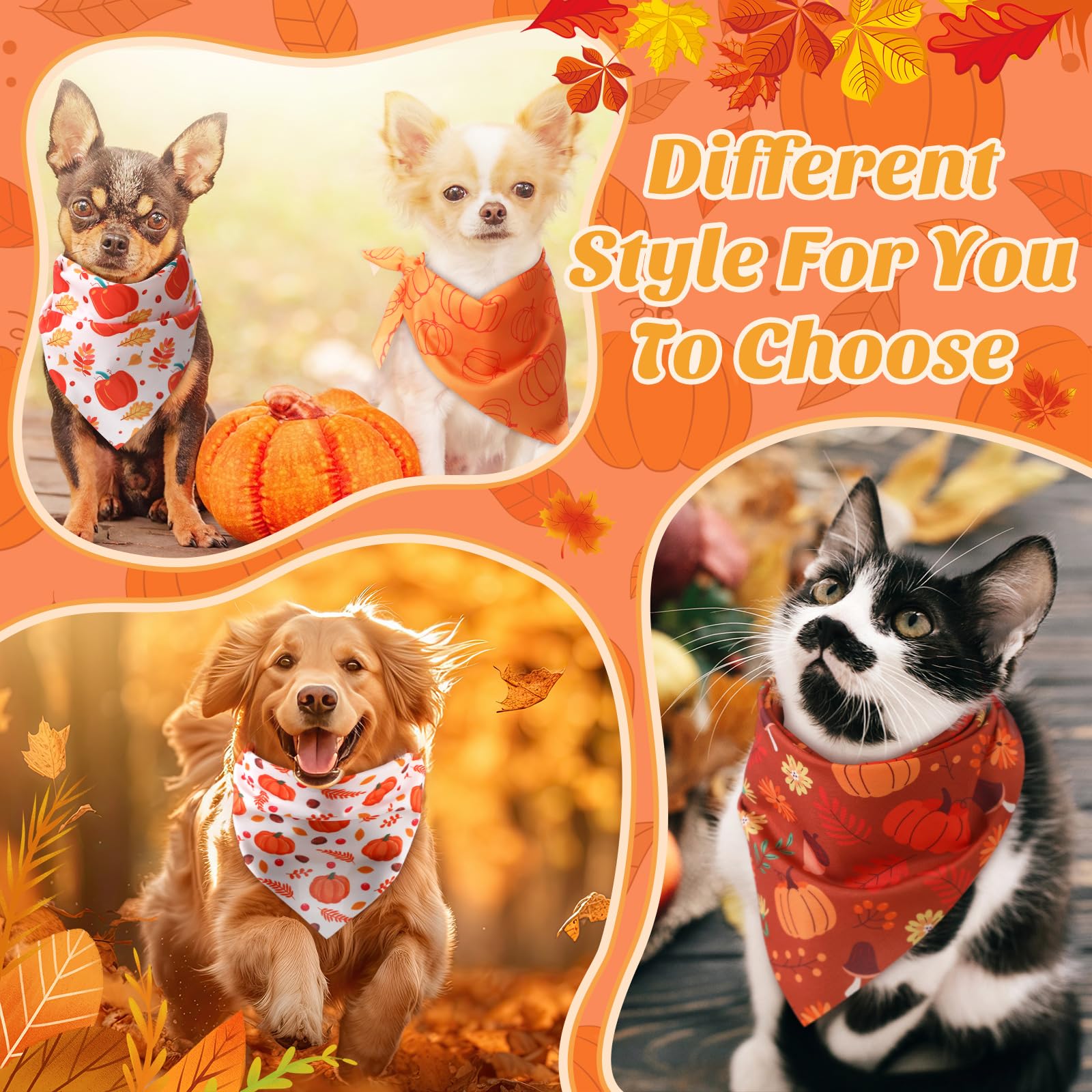 Abbylike fall dog bandana plaid theme coordinates with cozy outfits for harvest gatherings