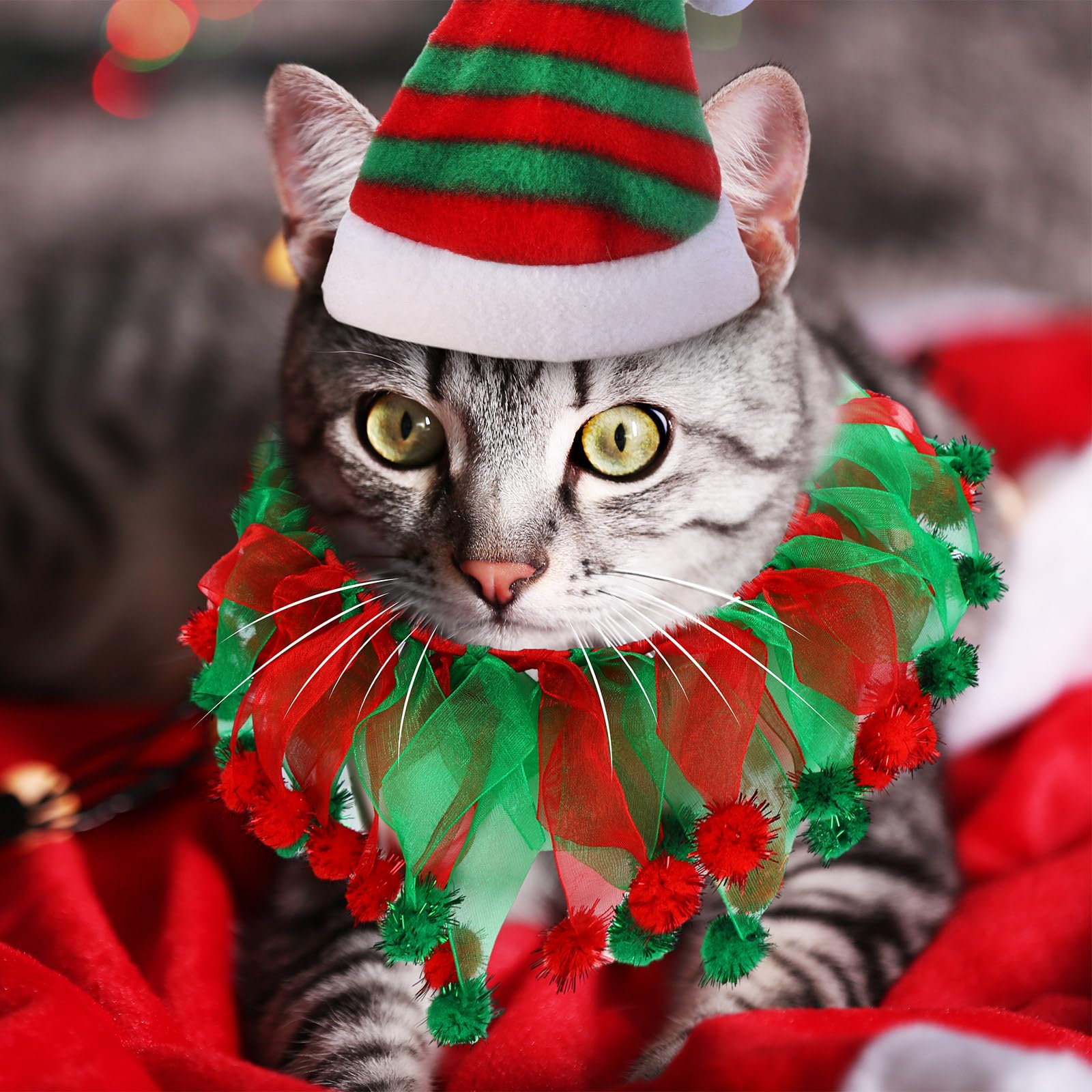 Abbylike festive pet outfits help capture holiday memories