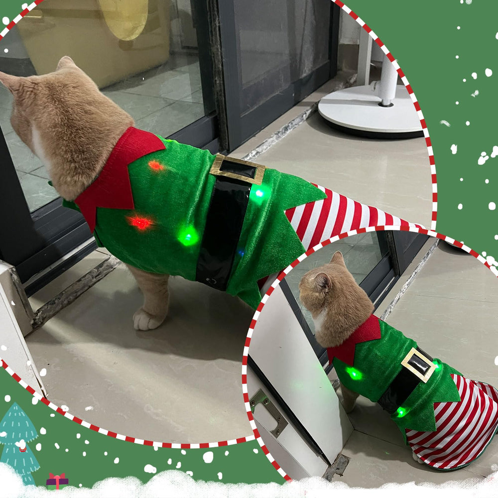 Abbylike pet costume suitable for dogs and cats at events