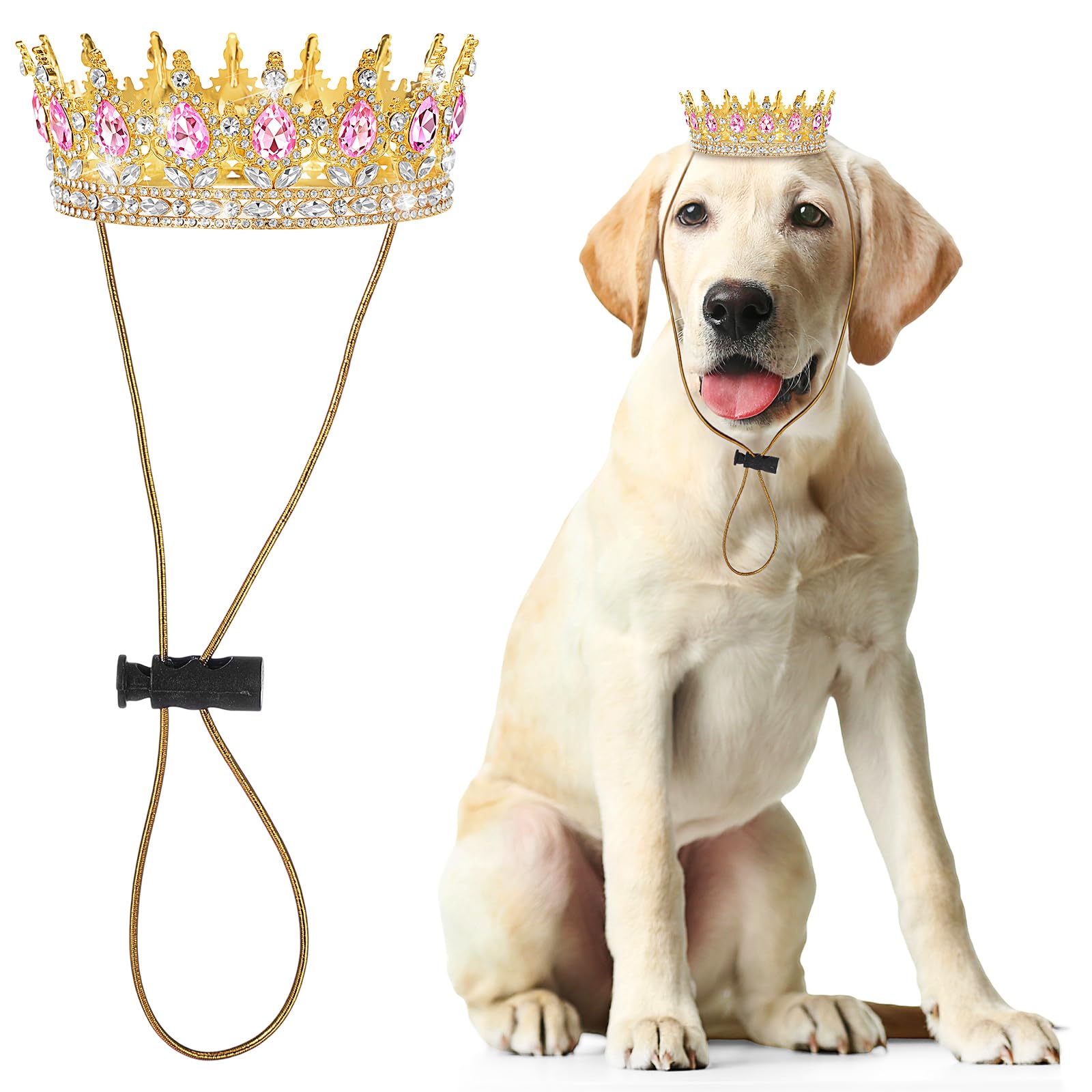 Abbylike pet rhinestone king crown on a dog for a festive photo prop