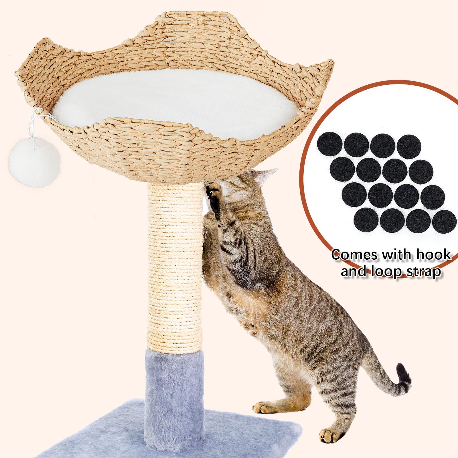 Abbylike small ball elastic play feature enables interactive pet entertainment.