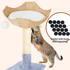 Abbylike small ball elastic play feature enables interactive pet entertainment.