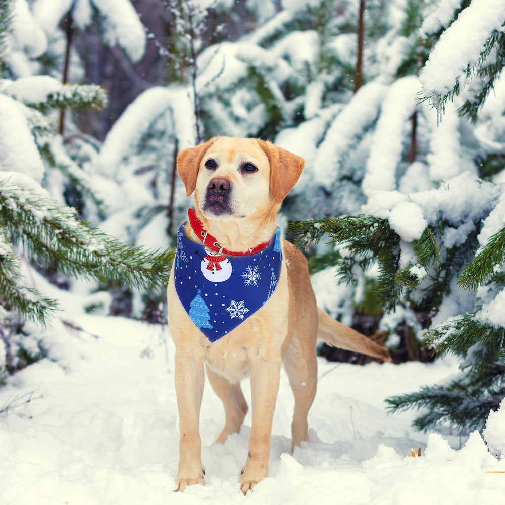 Abbylike winter dog bandana snowflake pattern highlights a cheerful, everyday winter look.