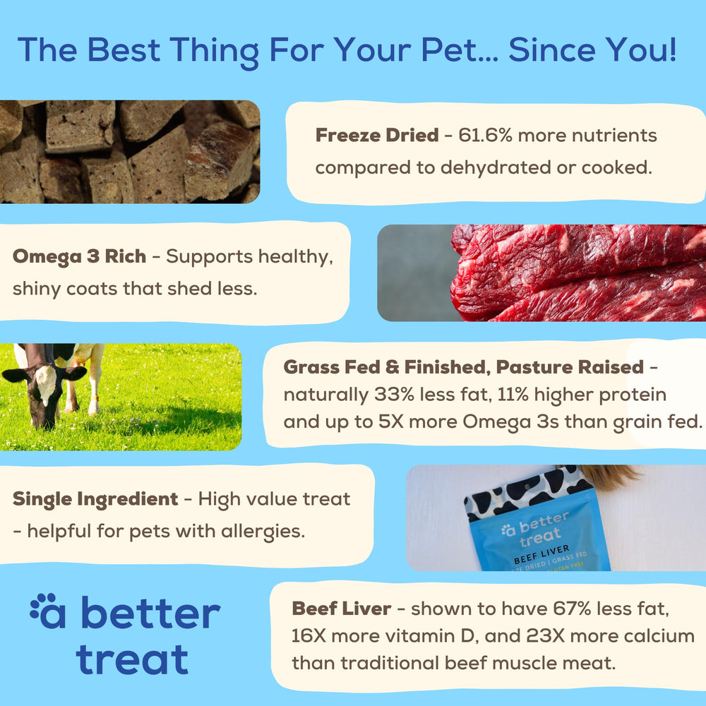 A Better Treat freeze-dried beef liver texture, crisp bite preserves nutrients.