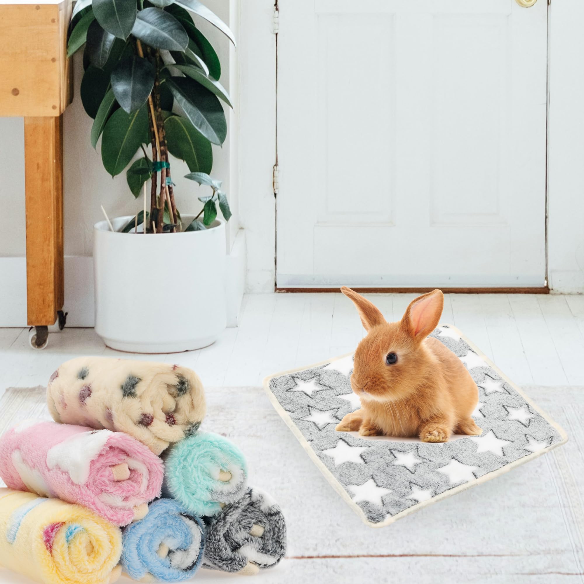 ABFEKIEA Guinea Pig Blanket beige pattern close-up shows protection for furniture and cages