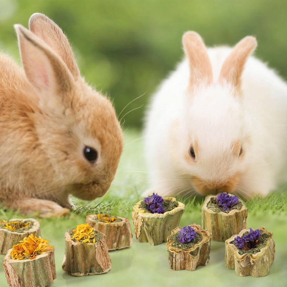 Abizoo organic alfalfa core with prebiotic content for digestive enrichment