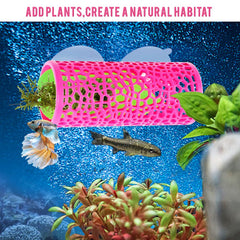 Abizoo Betta pink tunnel hollow design blends with decor and plant accents.