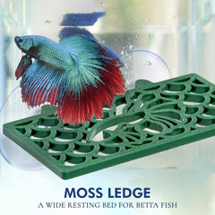 Abizoo Betta Tunnel dark-green-decor blends with tank and supports moss attachment.