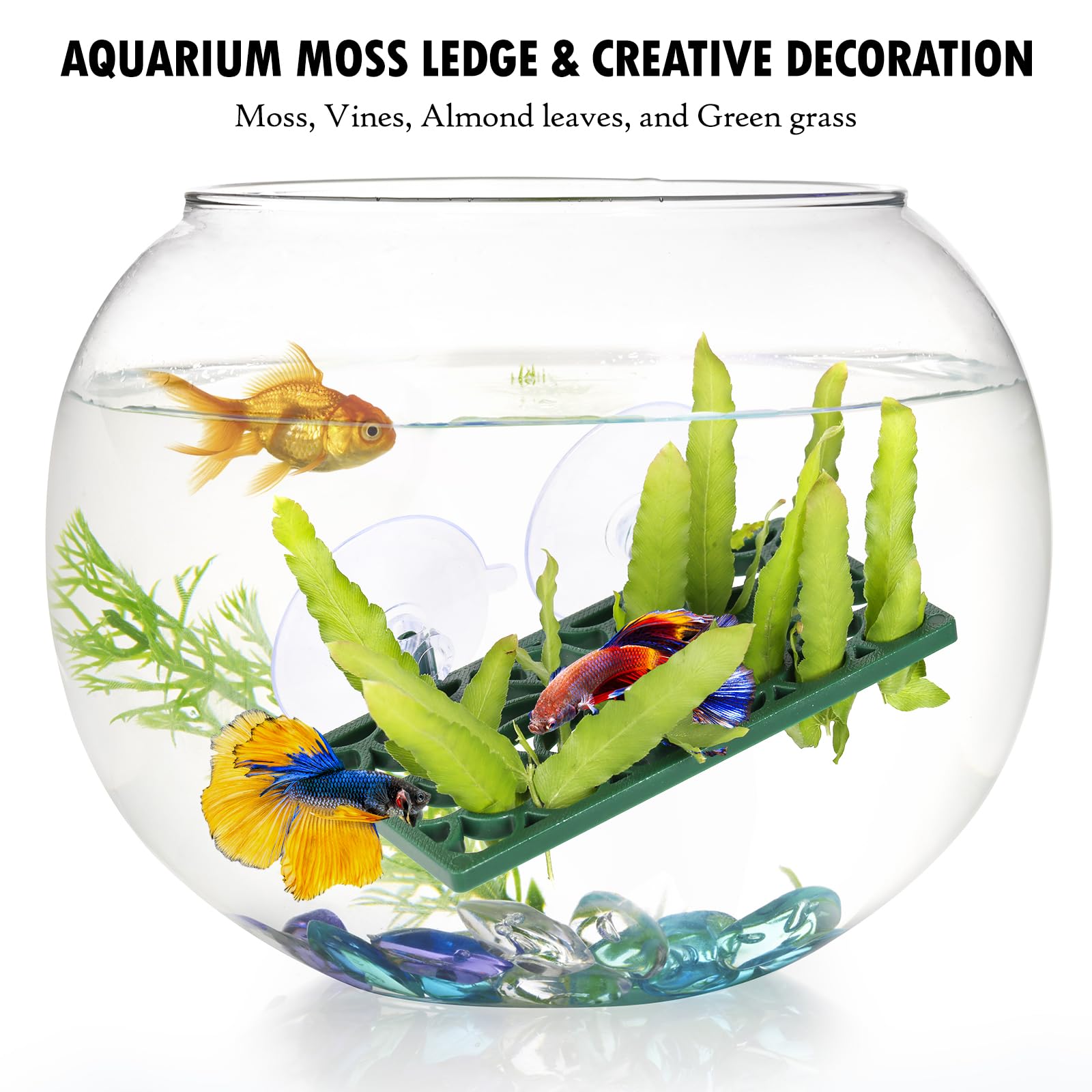Abizoo Betta Tunnel safe material durable aquarium-safe construction for enrichment.