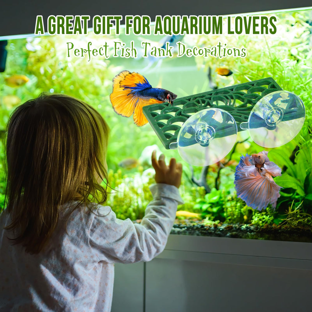 Abizoo Betta Tunnel daily use supports play hide and rest.