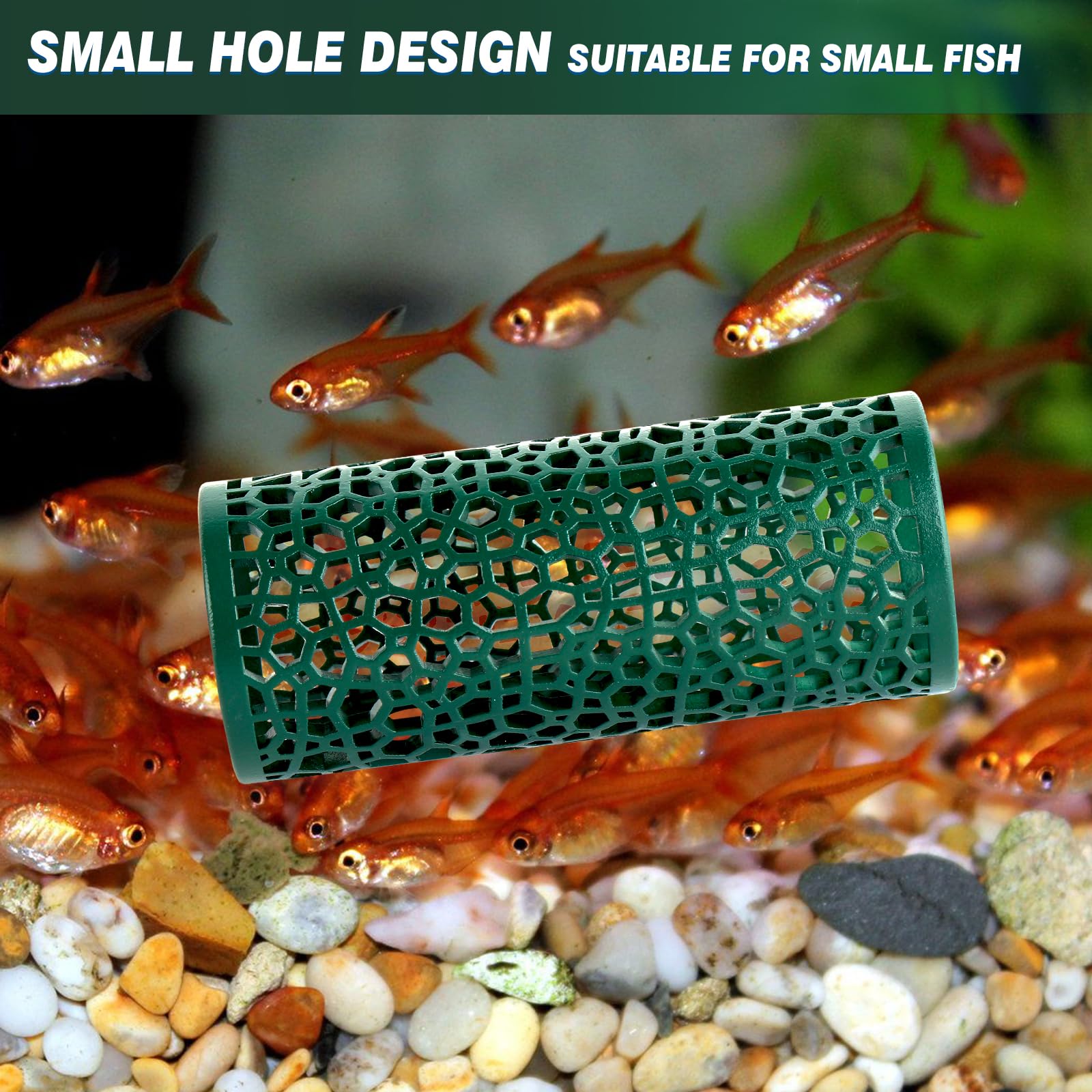 Abizoo Betta Tunnel small holes ensure safety for tiny aquatic inhabitants.