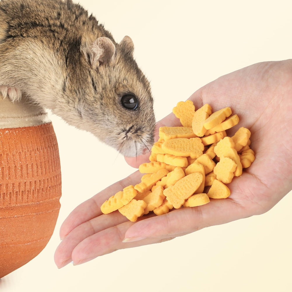 Abizoo carrot-shaped training rewards image illustrates positive behavior reinforcement.