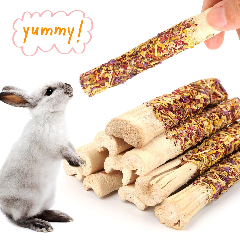 Abizoo dietary fiber-rich snack image suggesting digestive-friendly pleasure.
