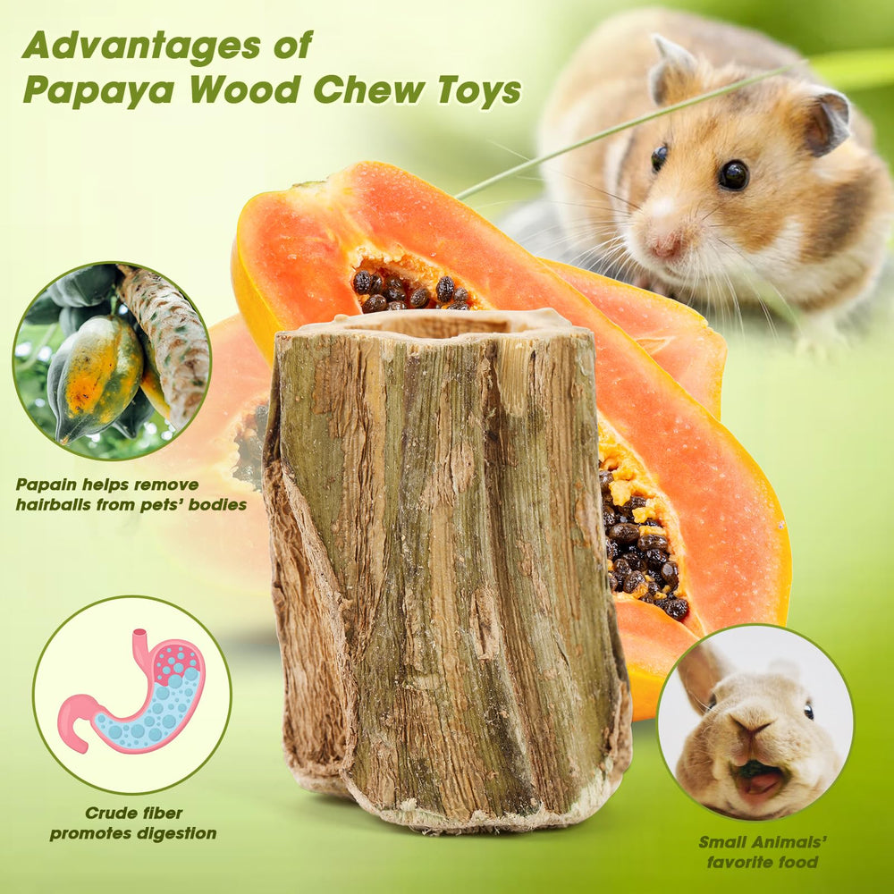 Abizoo sticks used for interactive play and bonding with pets