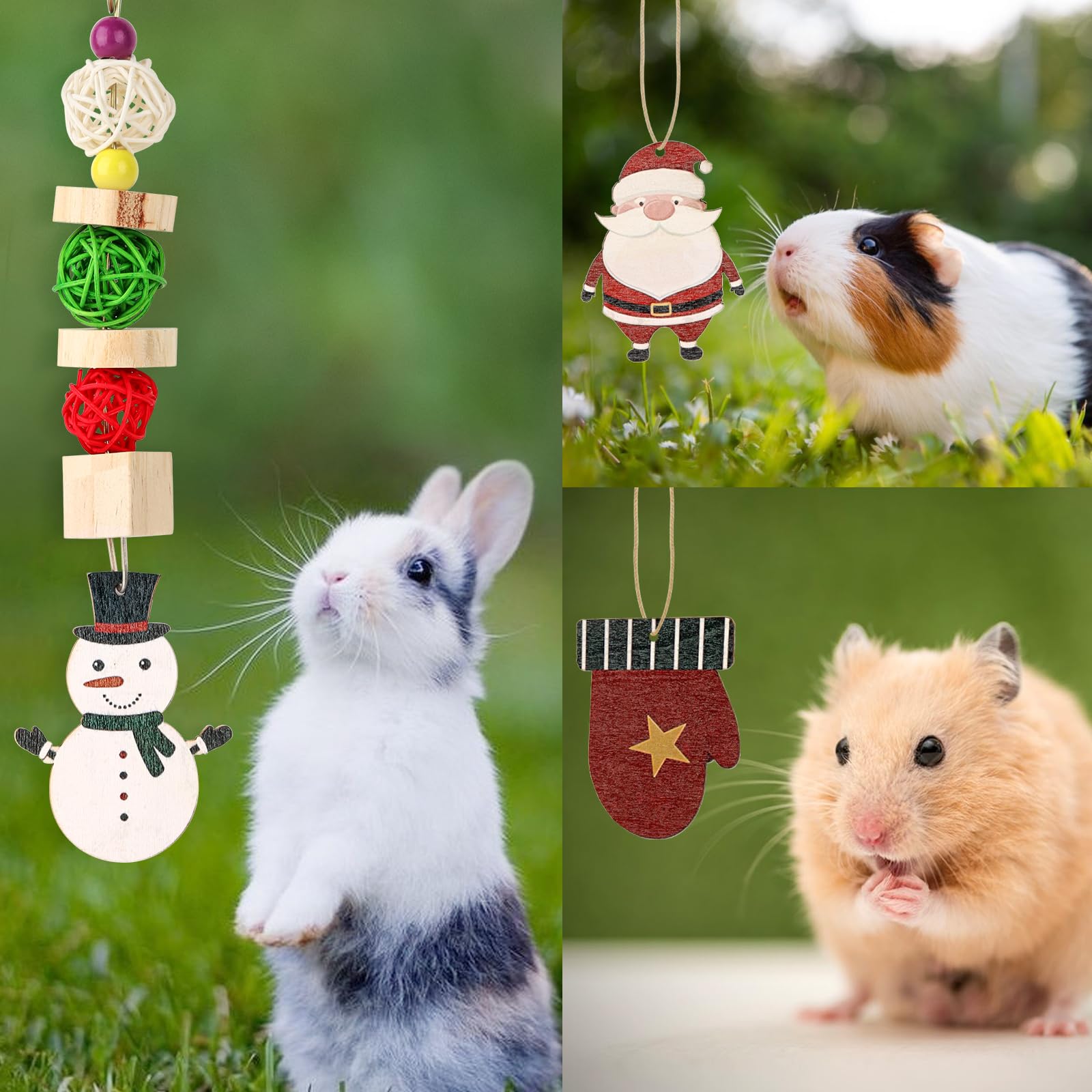 Abizoo natural materials promise safe, plastic-free entertainment for small pets