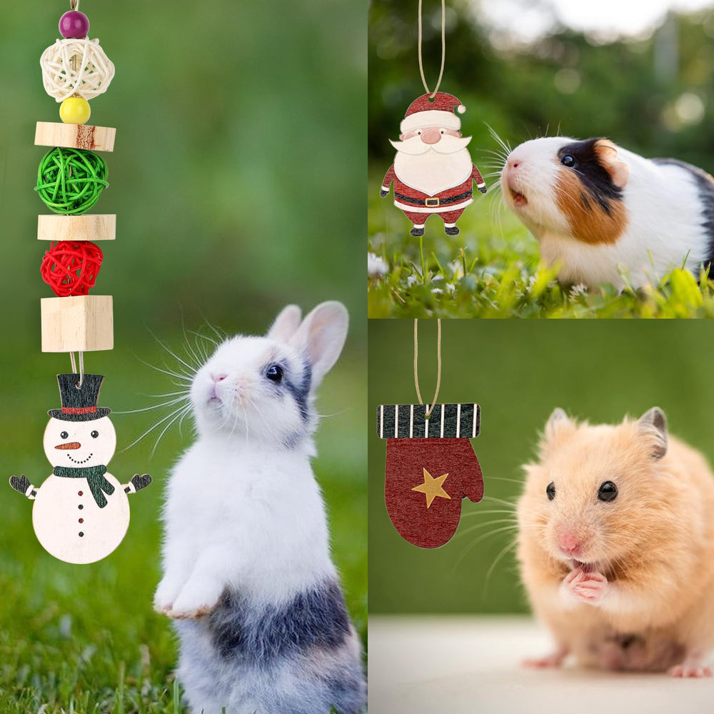 Abizoo natural materials promise safe, plastic-free entertainment for small pets