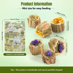 Abizoo organic alfalfa core foraging image highlights gut-friendly nibbling