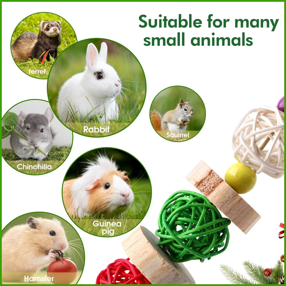 Abizoo small animal enrichment image demonstrates individual toys preventing cage boredom