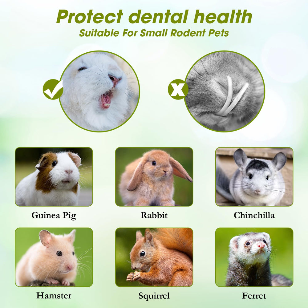 Abizoo small pets enjoy a chew session with firm, safe sticks.