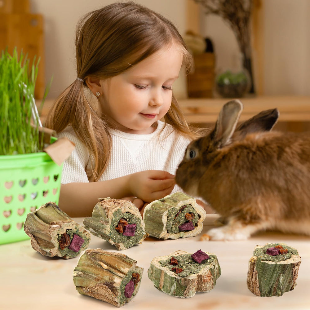 Abizoo small-pets enrichment shows engaging chew toy for multiple species.