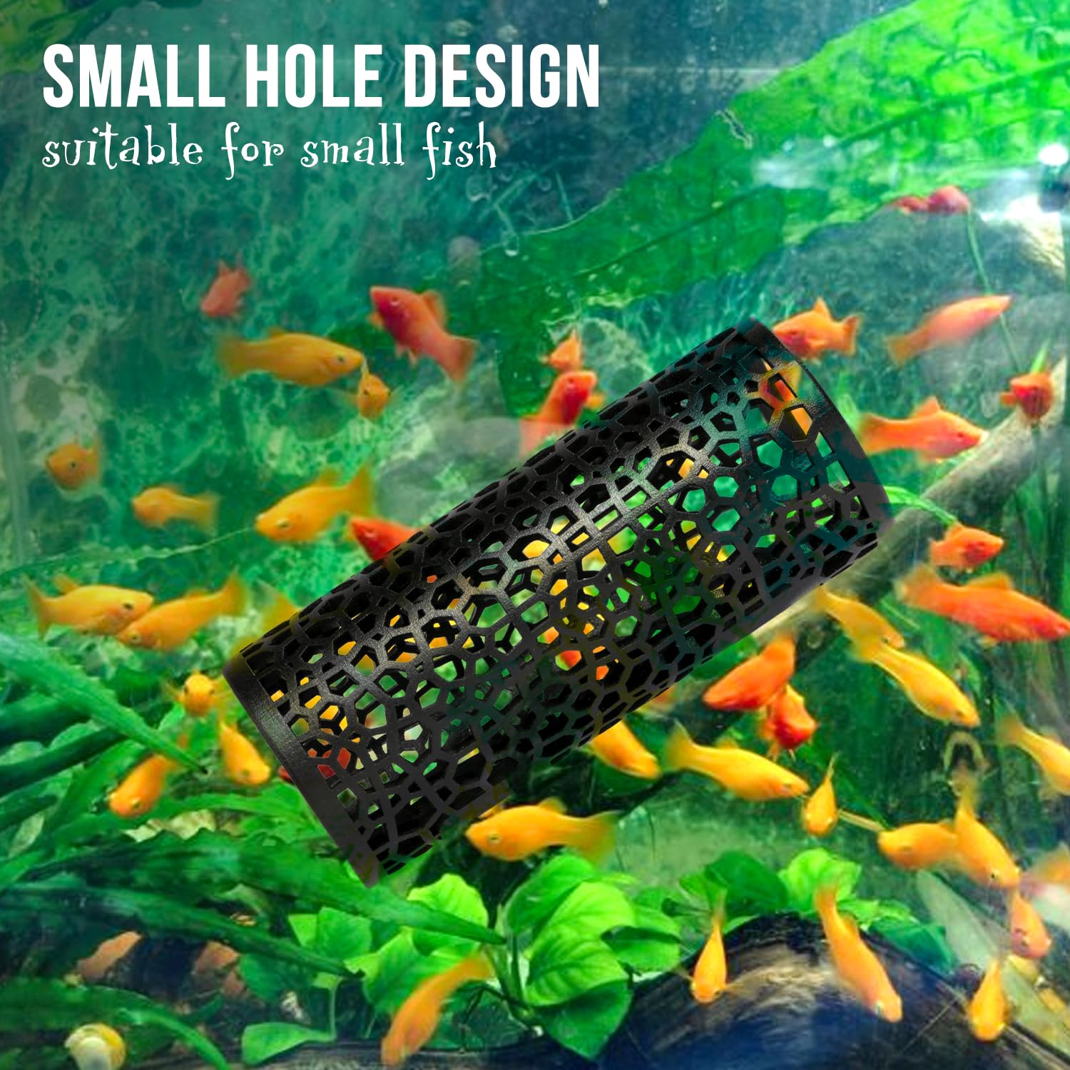 Abizoo Suction cups allow easy, flexible placement in any tank.