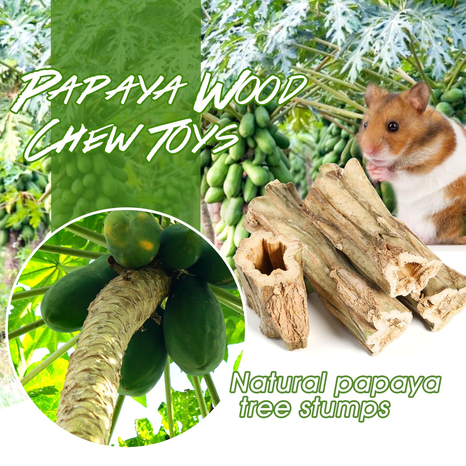 Abizoo two-sizes chew sticks for small animals demonstrates sizing versatility