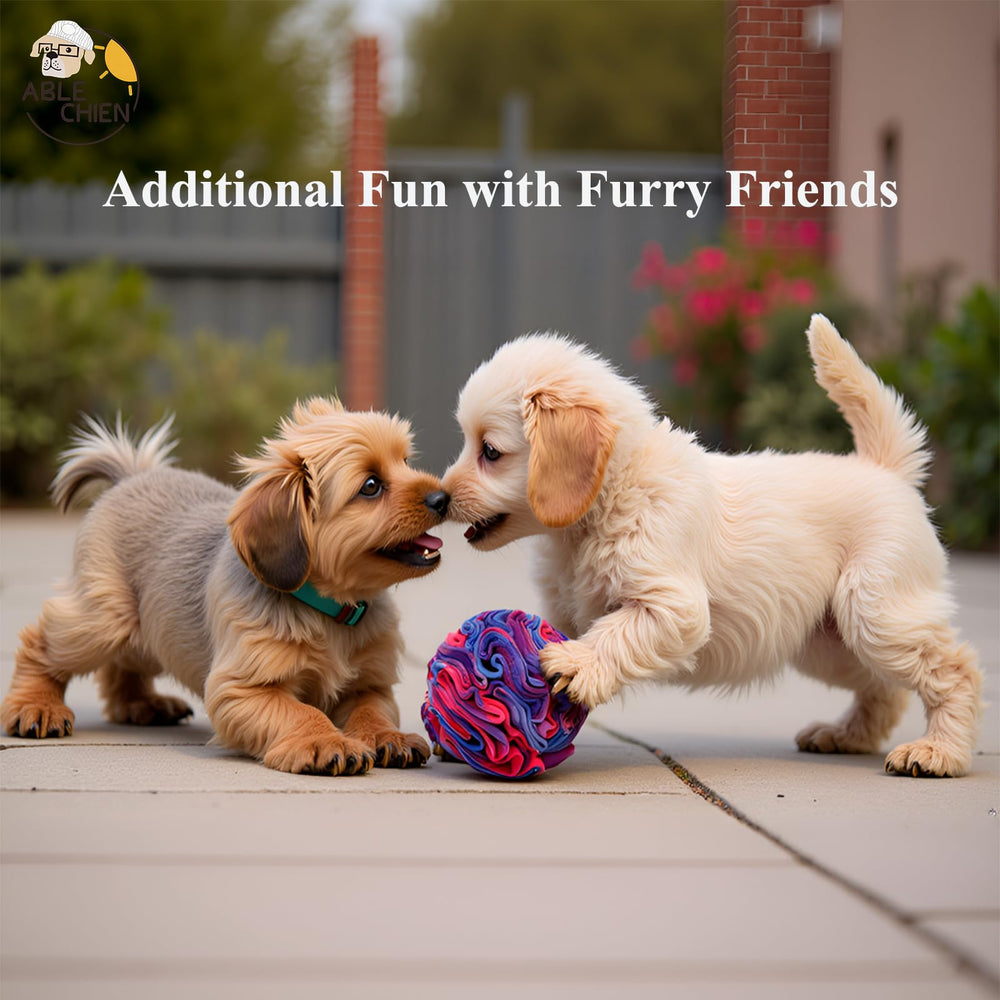 Ablechien Snuffle Ball provides enrichment during play for curious dogs