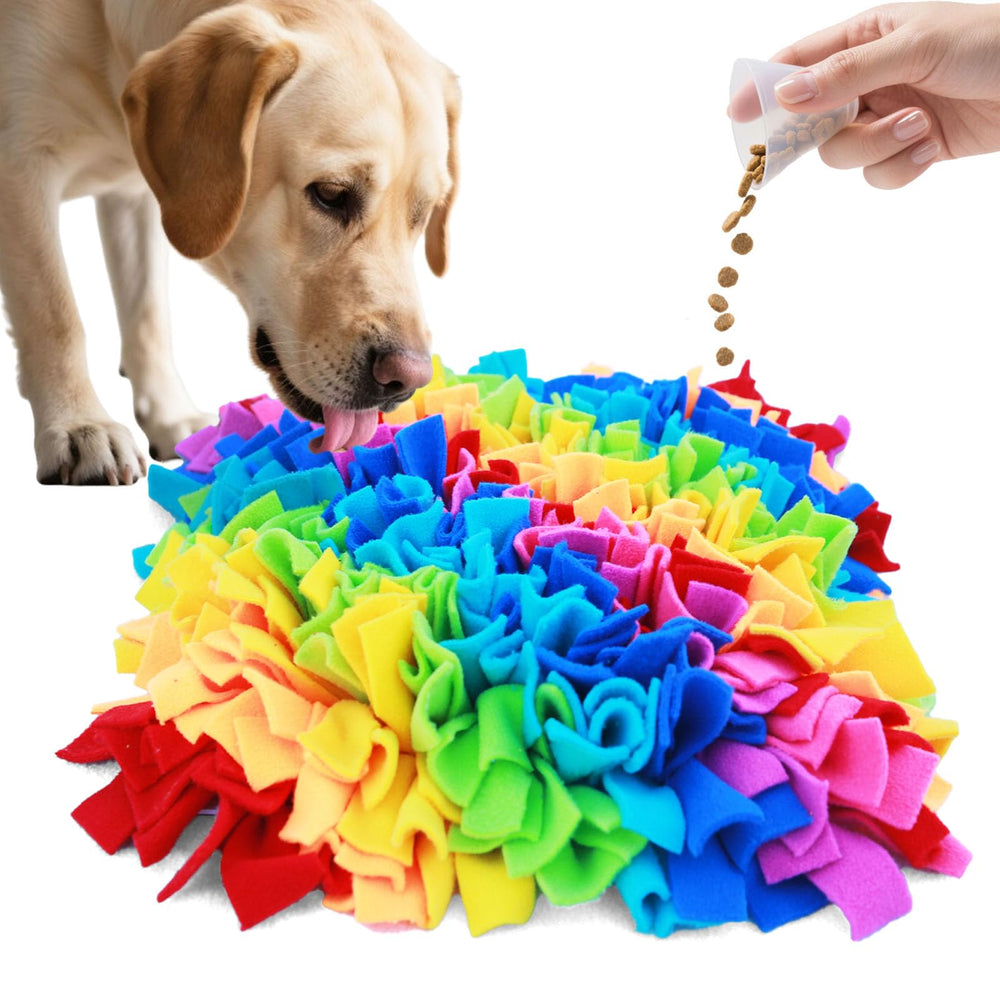 Ablechien Snuffle Mat demonstrates foraging training with stimulating textures.