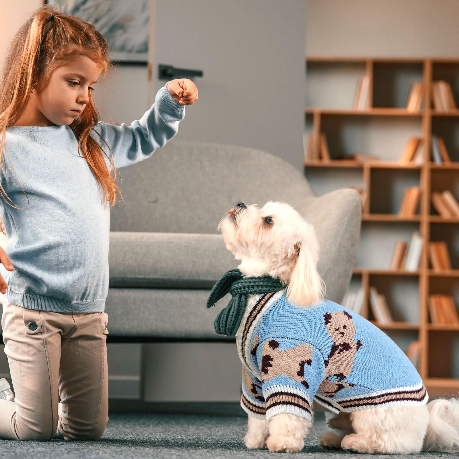 ABRRLO bear-pattern cardigan for dogs in blue adds stylish flair and snug fit.
