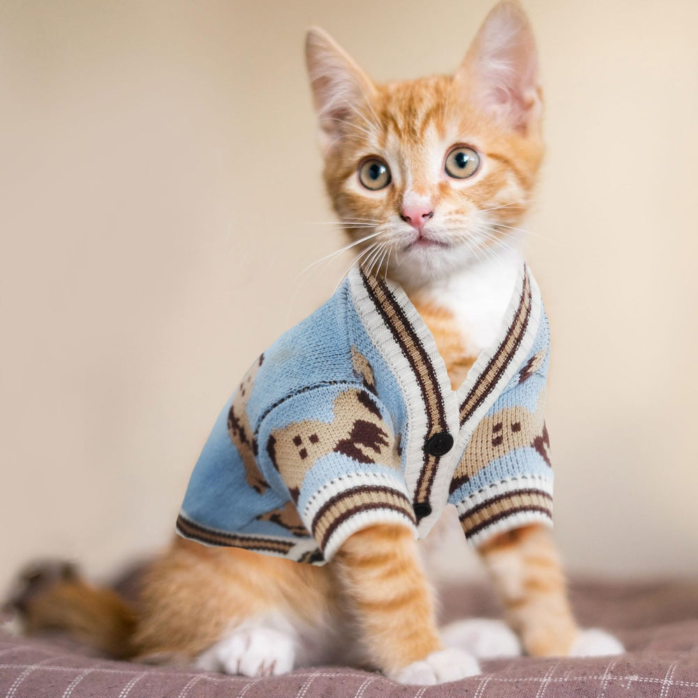 ABRRLO blue bear-pattern sweater highlights warm, snug comfort for small companions.