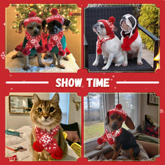 ABRRLO dog Christmas hat on a dog showing adjustable fit.