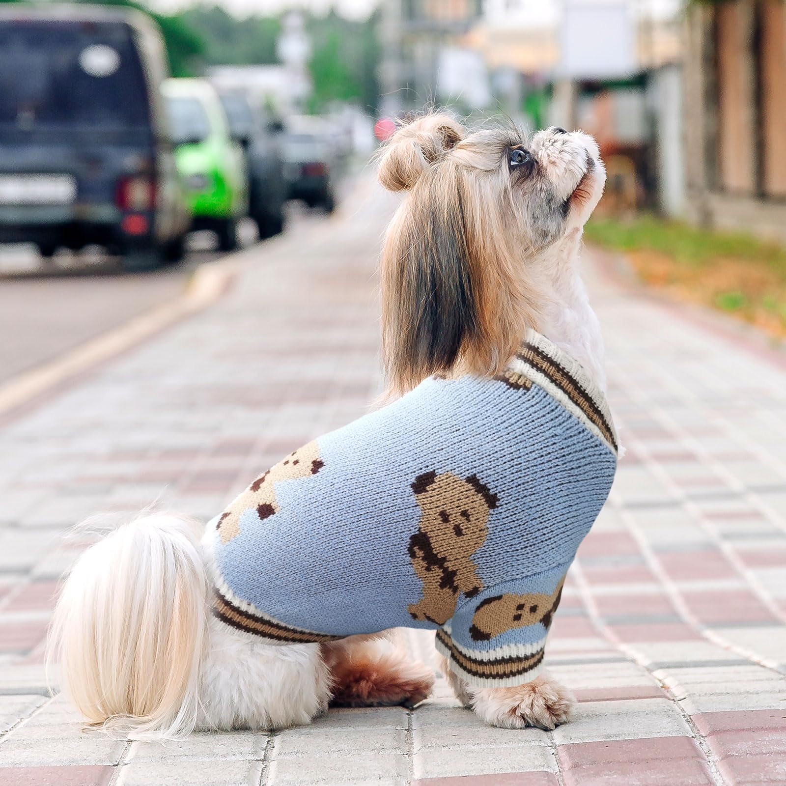 ABRRLO fashion-forward dog cardigan in blue boosts pet style during outings.