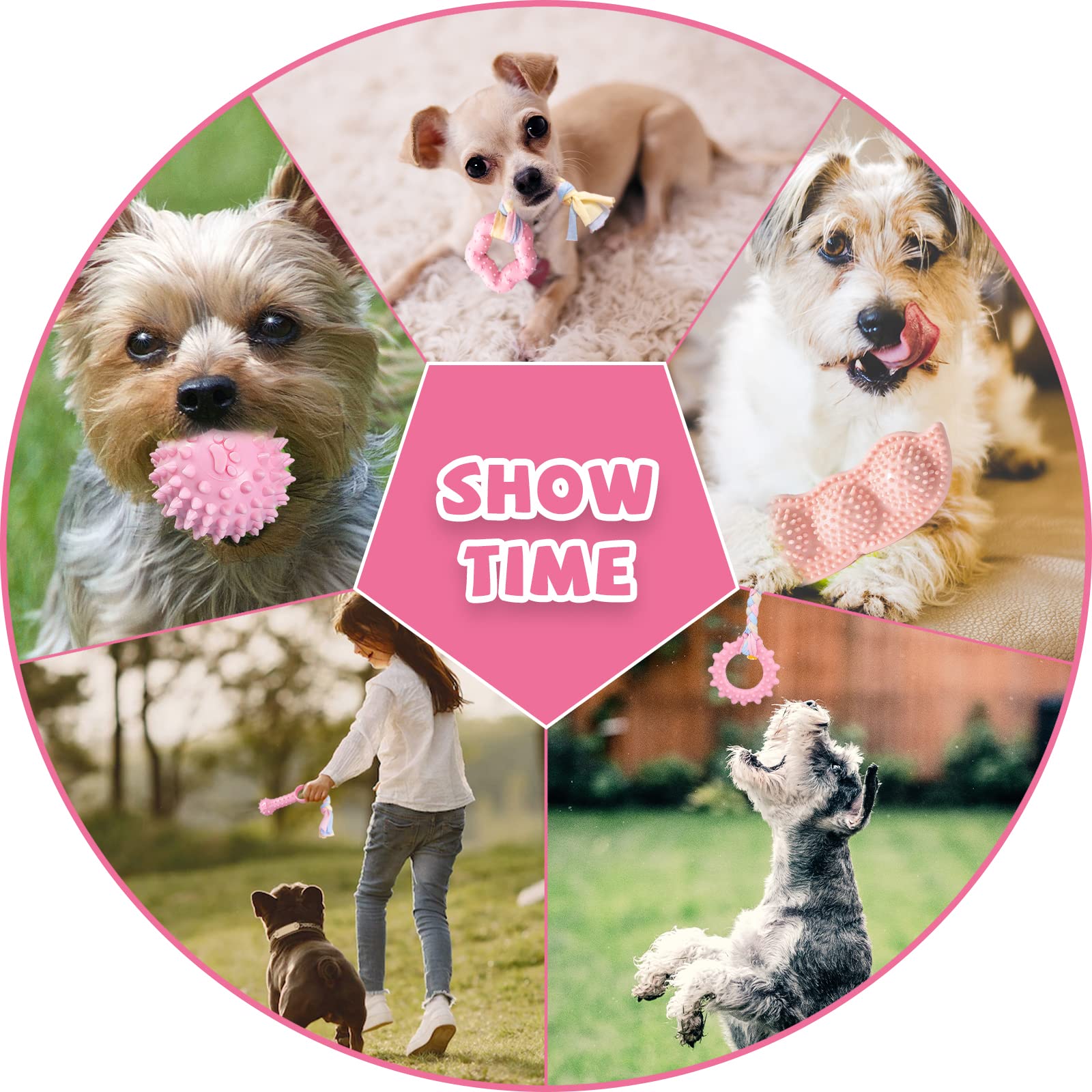 ABRRLO small-breed friendly teething toys promote longer play sessions.