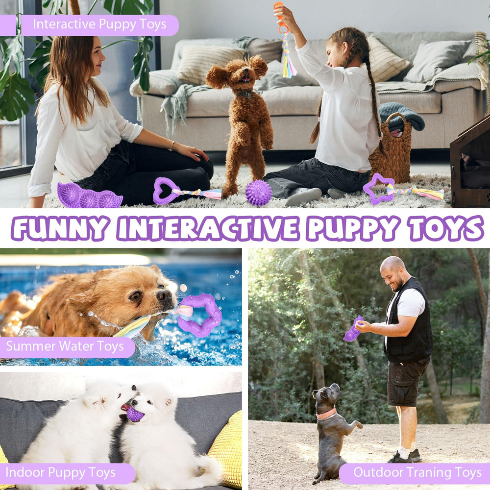 ABRRLO purple puppy toy set for indoor or outdoor play and boredom relief.
