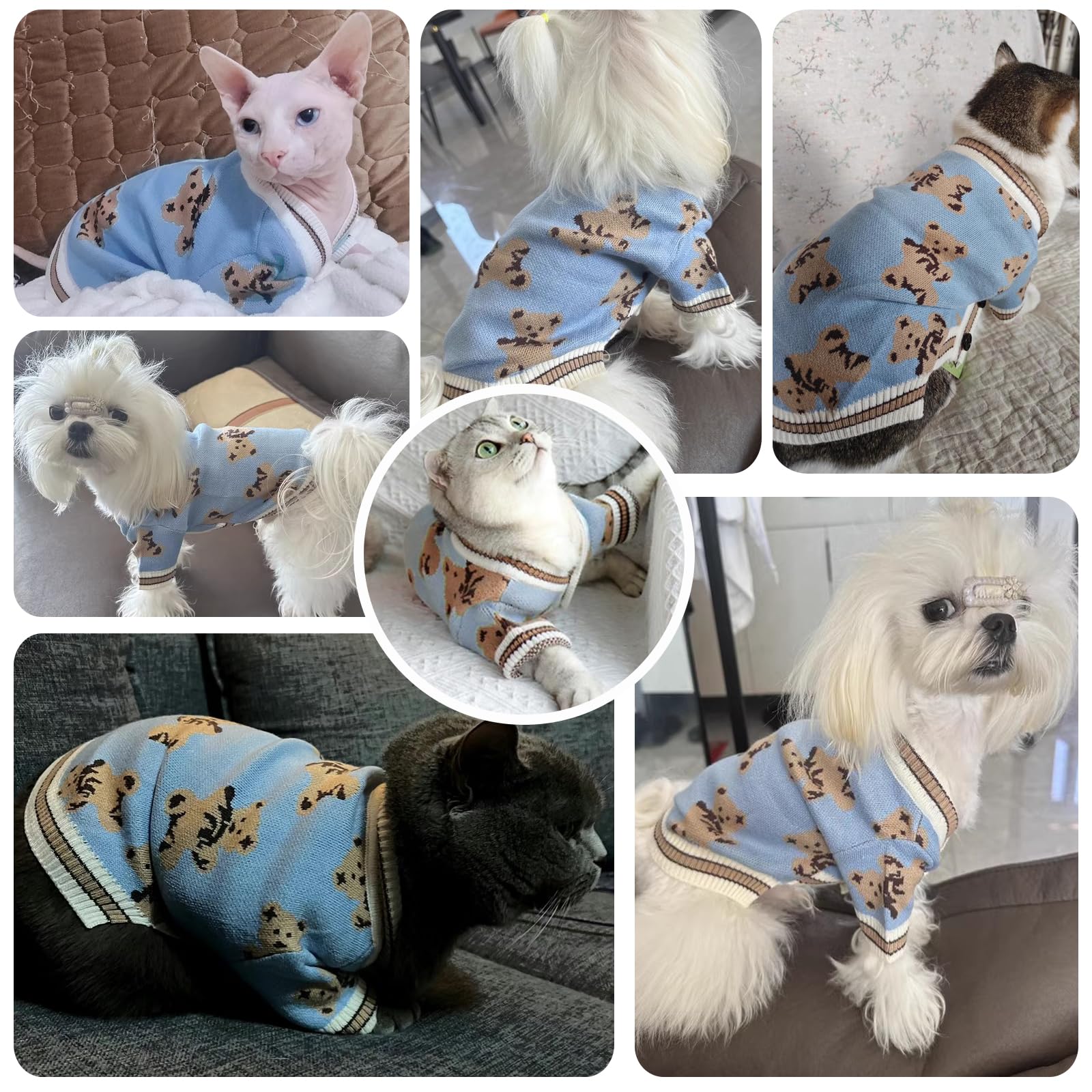 ABRRLO warm-knit dog sweater in blue suits indoor lounging and outdoor play.