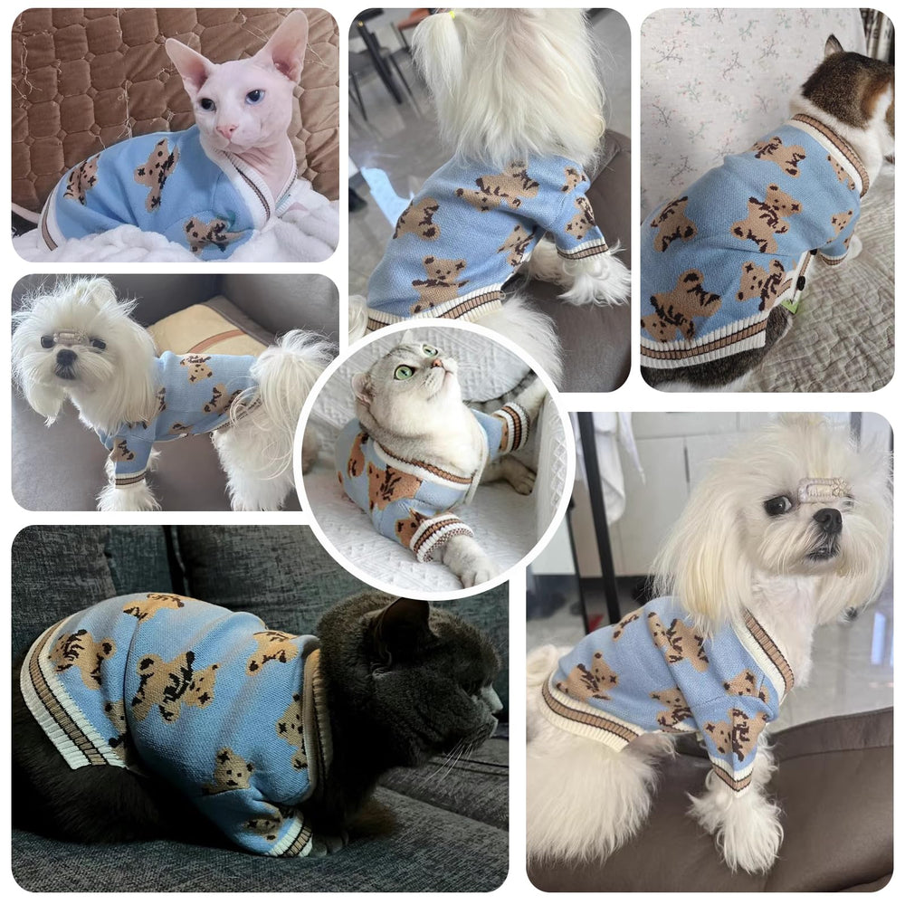 ABRRLO warm-knit dog sweater in blue suits indoor lounging and outdoor play.