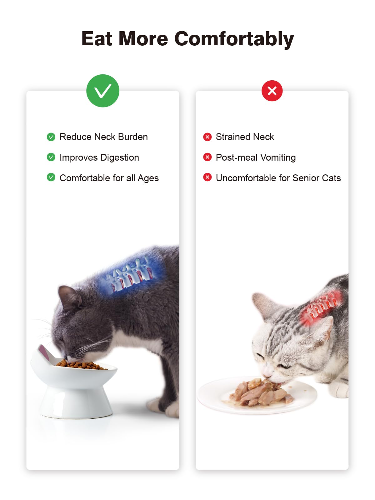 ABRUTY cat-design-closeup features a cute cat-shaped bowl that complements home decor.