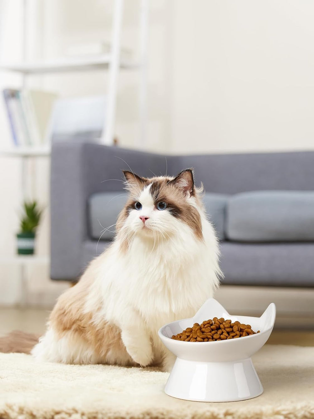 ABRUTY non-slip base keeps the bowl in place on any surface