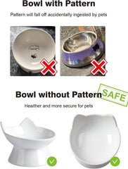 ABRUTY ceramic non-toxic cat bowl offers a durable feeding surface