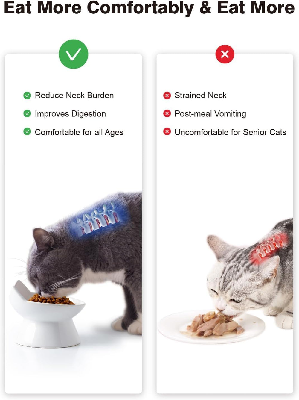 ABRUTY durable anti-tip cat bowl stays steady on the floor