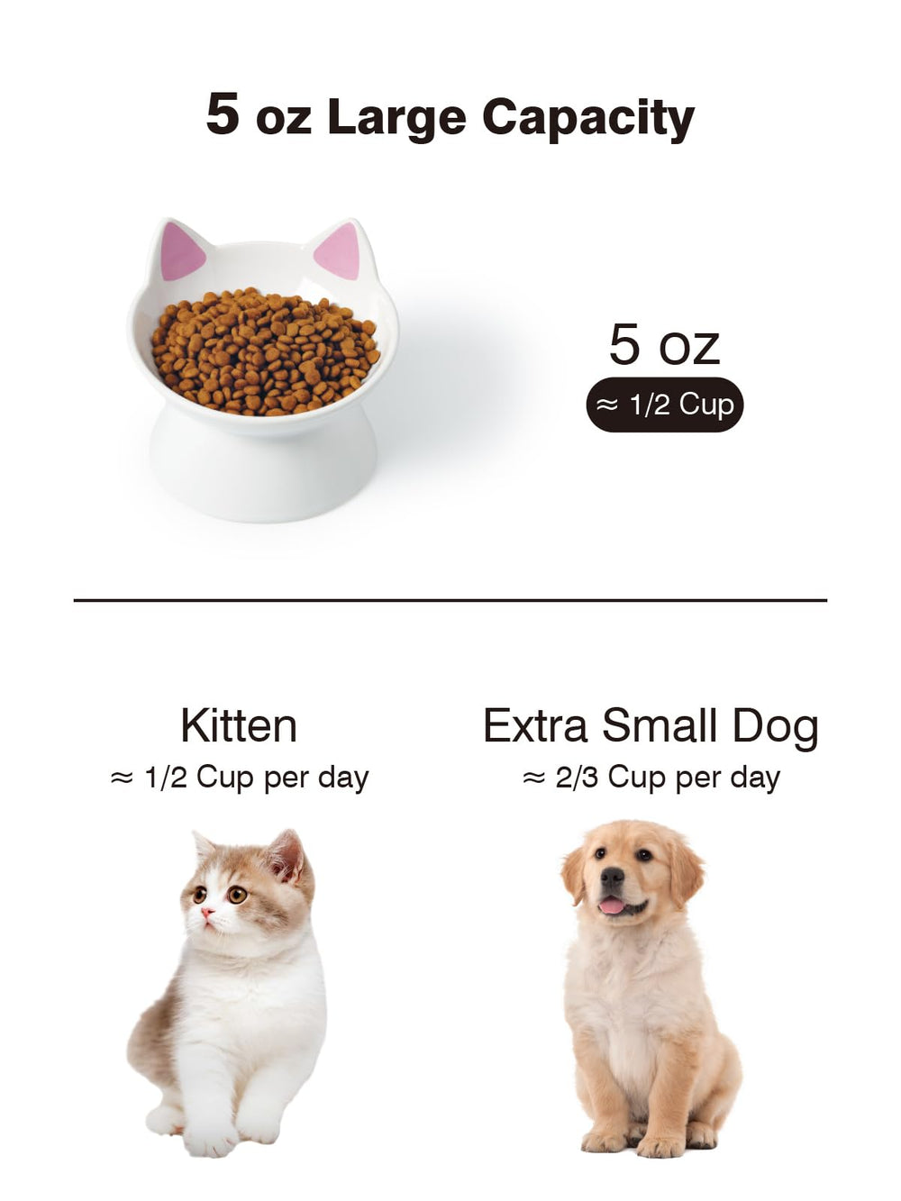 ABRUTY elevated-cat-feeder-setup shows a raised design to support comfortable meals.