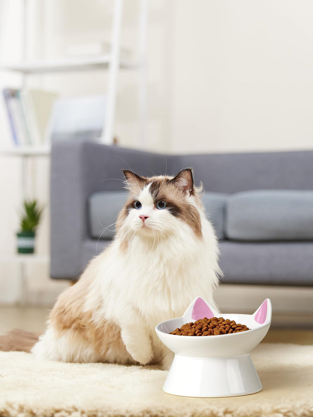 ABRUTY non-slip-base keeps the bowl steady for energetic mealtimes.