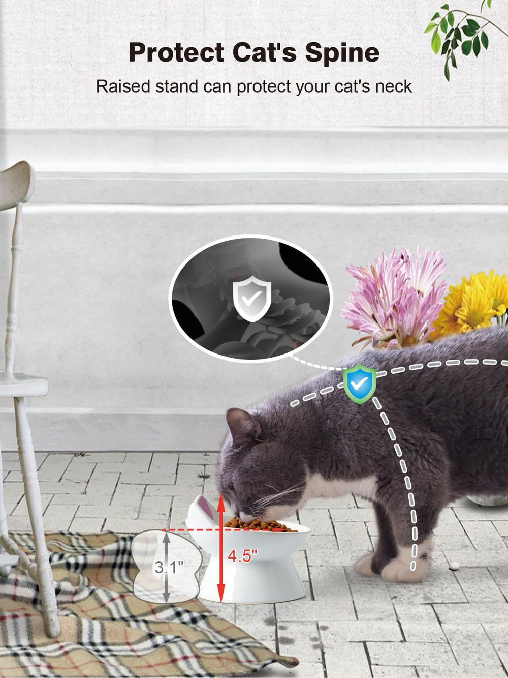 ABRUTY small-dog-cat-bowl-use demonstrates versatile feeding for pets beyond cats.