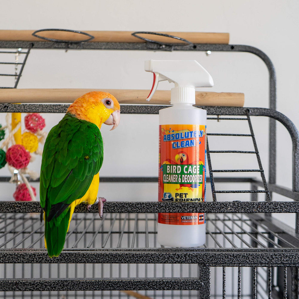 Absolutely Clean Bird Cage Cleaner on upholstery demonstrates versatile use beyond cages.