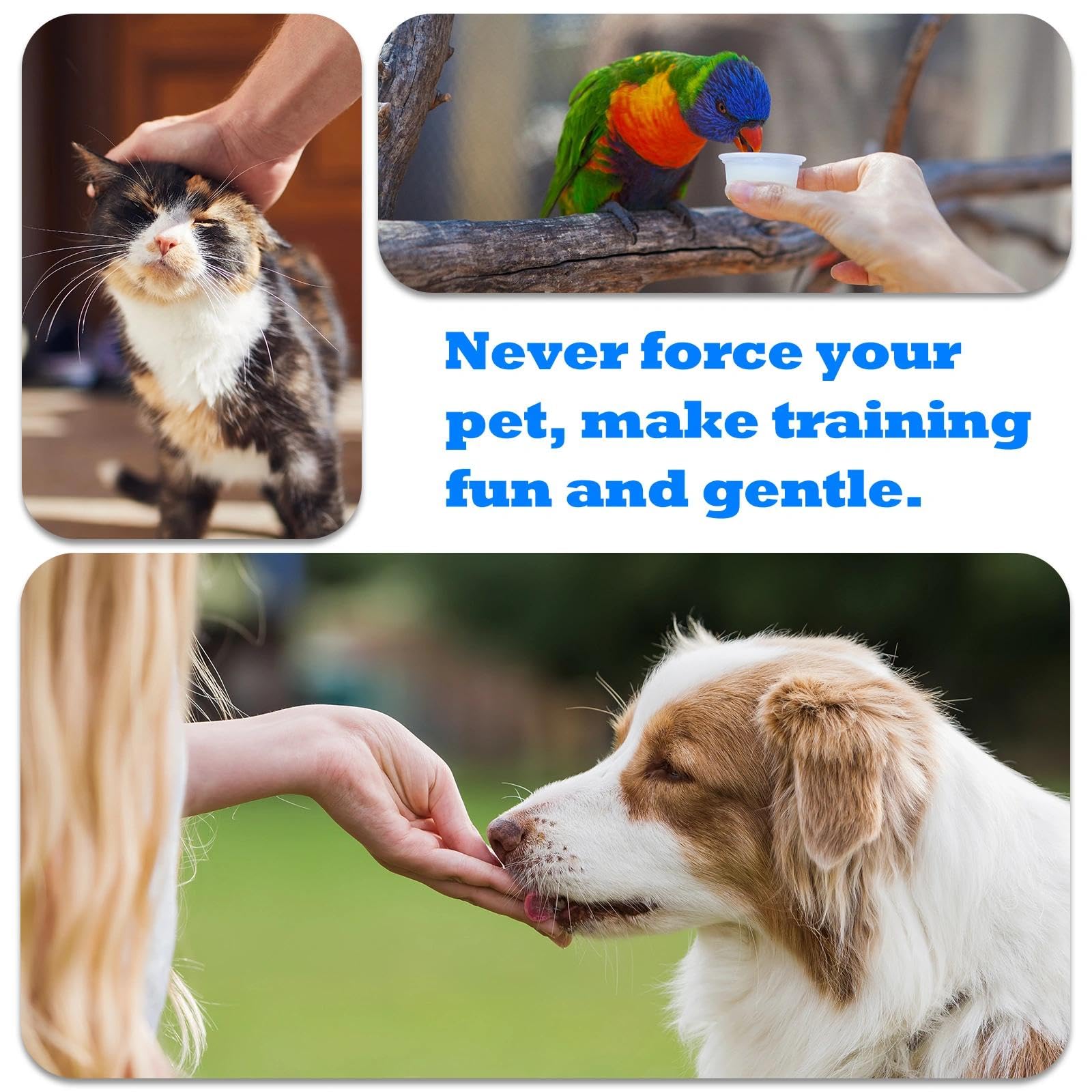 ABSONE dog clicker used for cat training and behavior cues
