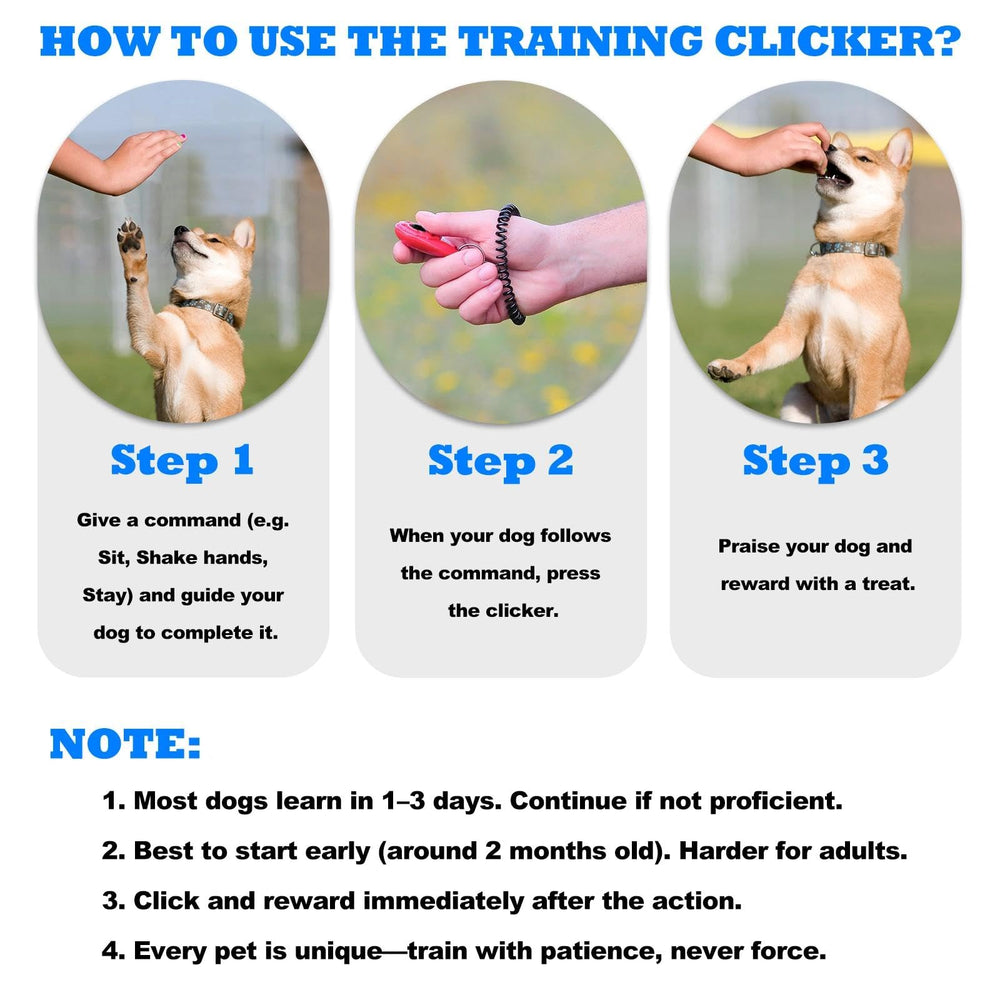 ABSONE clicker used for potty training and obedience sessions