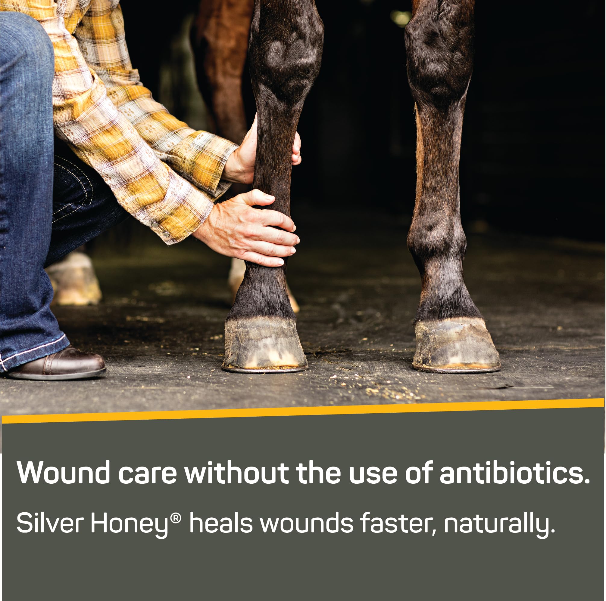 Absorbine Silver Honey MicroSilver BG bottle emphasizes antimicrobial component for skin resilience.