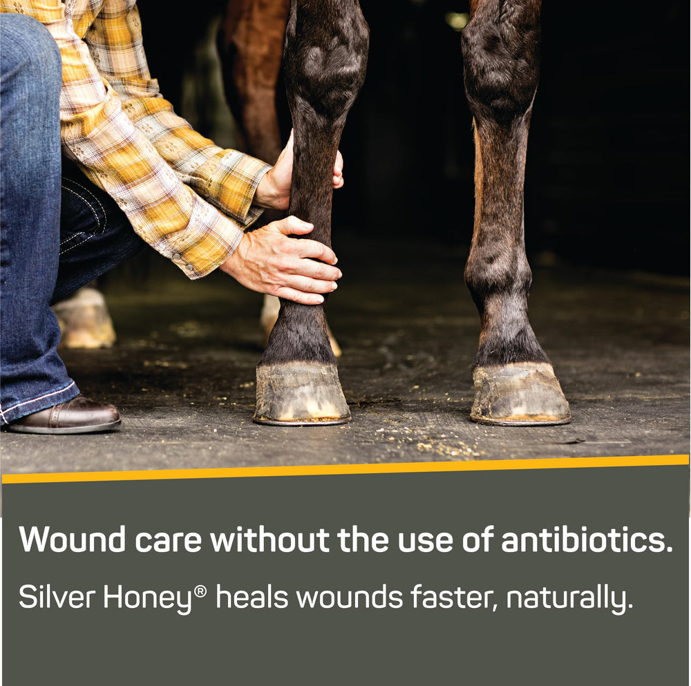 Absorbine Silver Honey MicroSilver BG bottle emphasizes antimicrobial component for skin resilience.